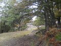DSCN9915