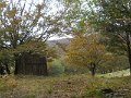 DSCN9918