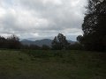 DSCN9928