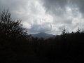 DSCN9955