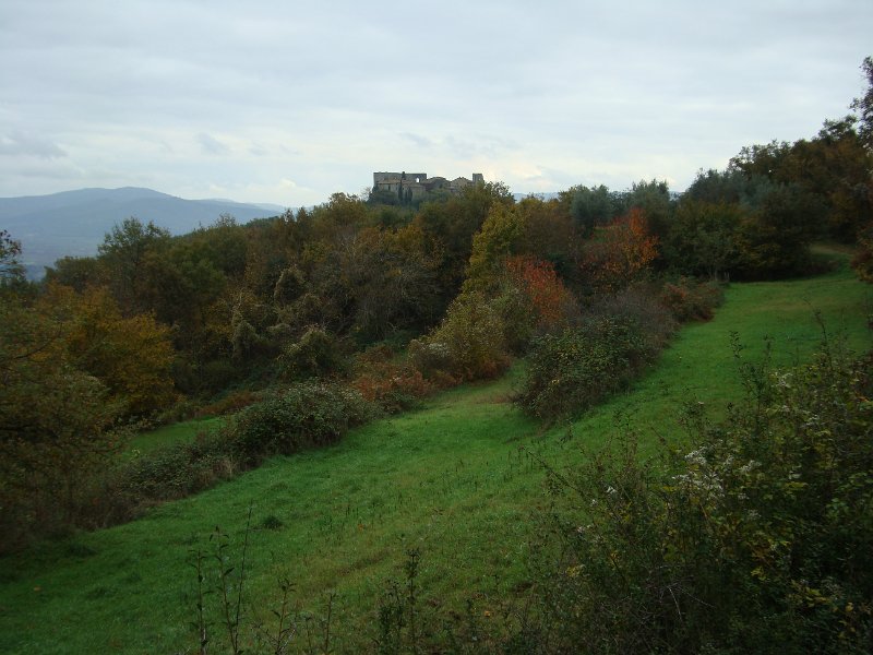 DSC00353.JPG