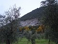 DSC04619