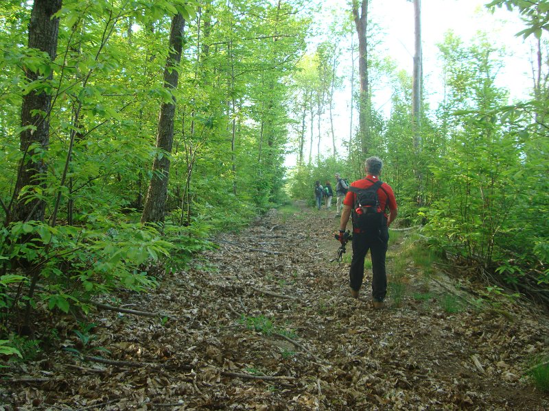 DSC07878.JPG