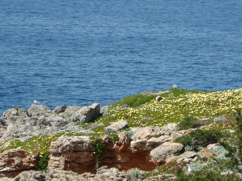 DSC06673.JPG