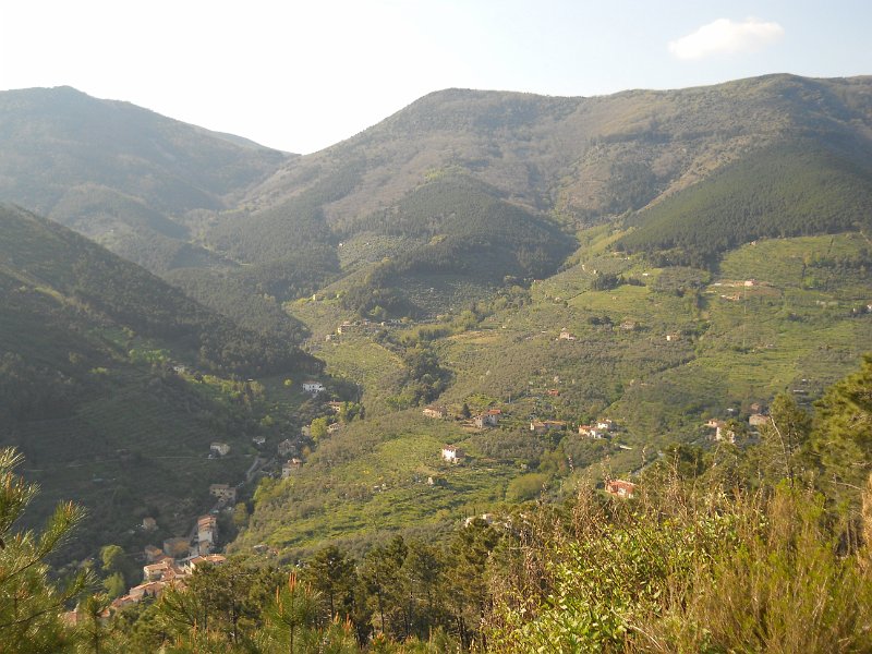 DSCN0817.JPG