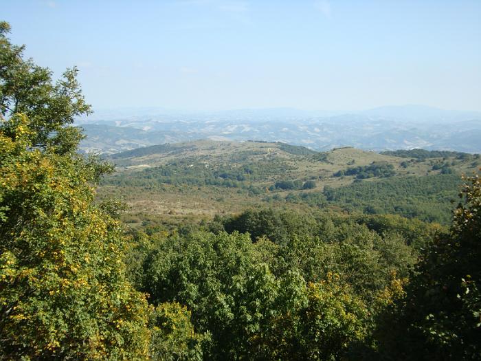 DSC03140