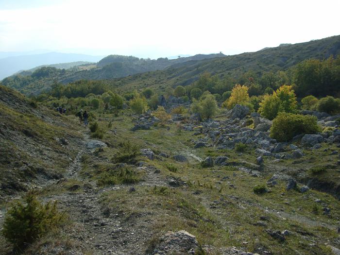 DSC03215