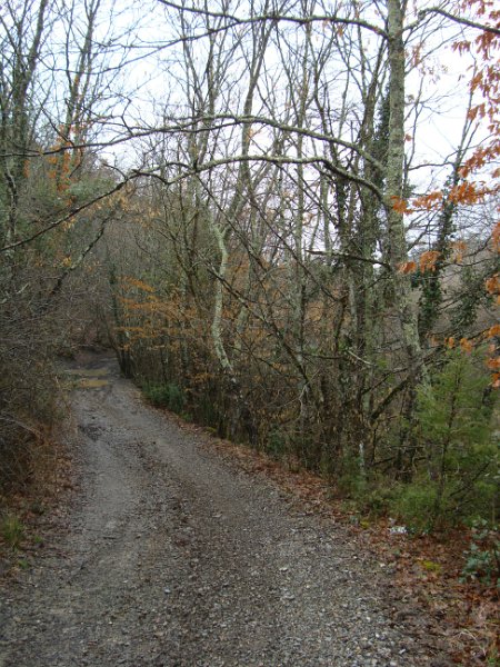 DSC01521.JPG