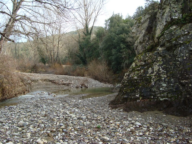 DSC01544.JPG