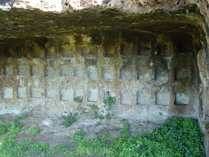 DSC07875.JPG