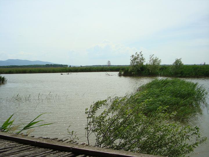 DSC03121.JPG