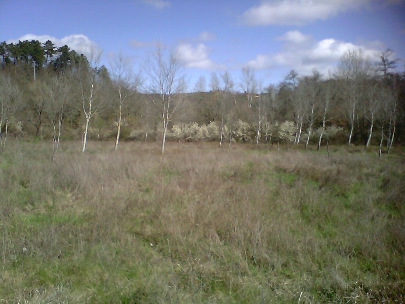 IMG10034.jpg