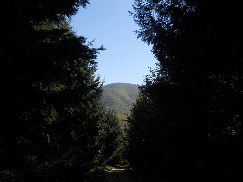 DSCN9094.JPG
