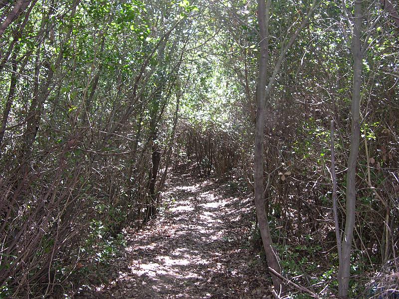 DSCN0010.JPG