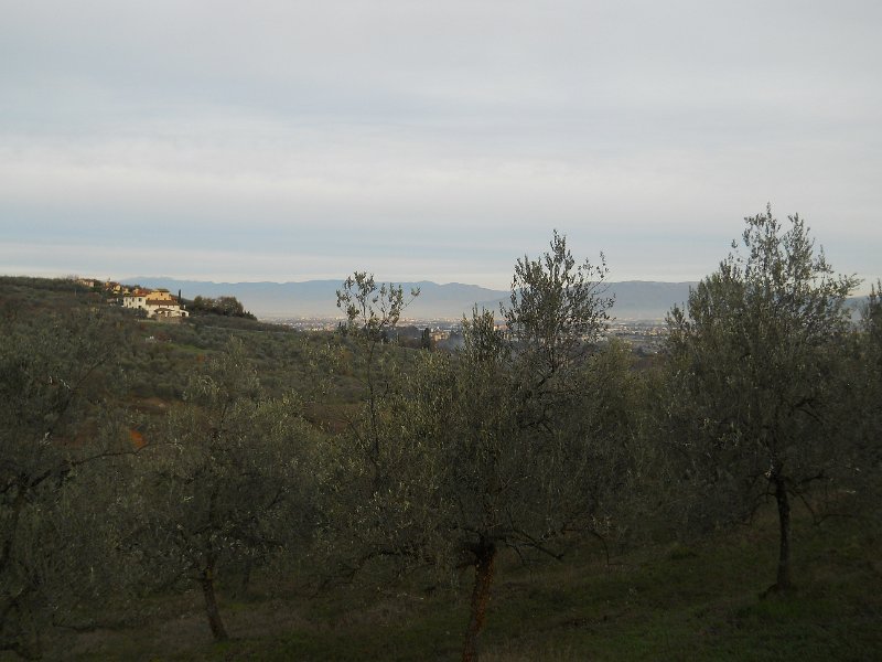 DSCN0334.JPG