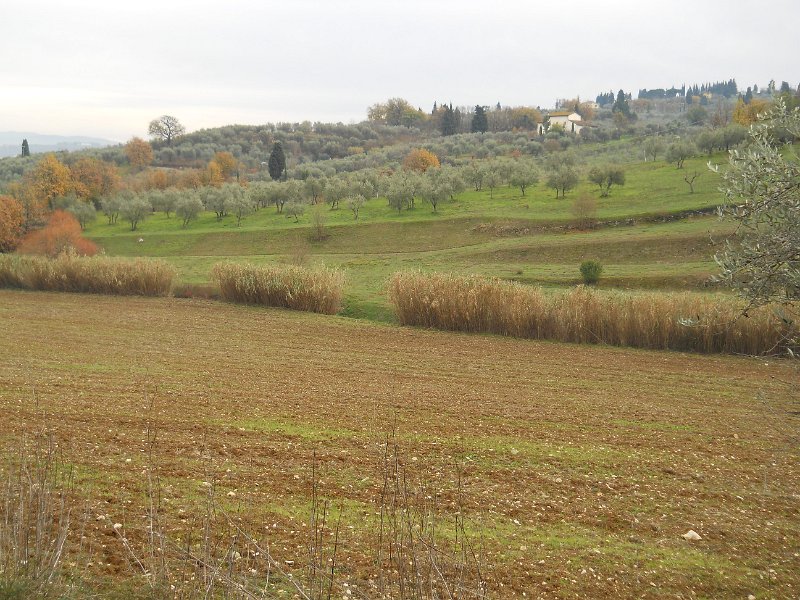 DSCN0494.JPG