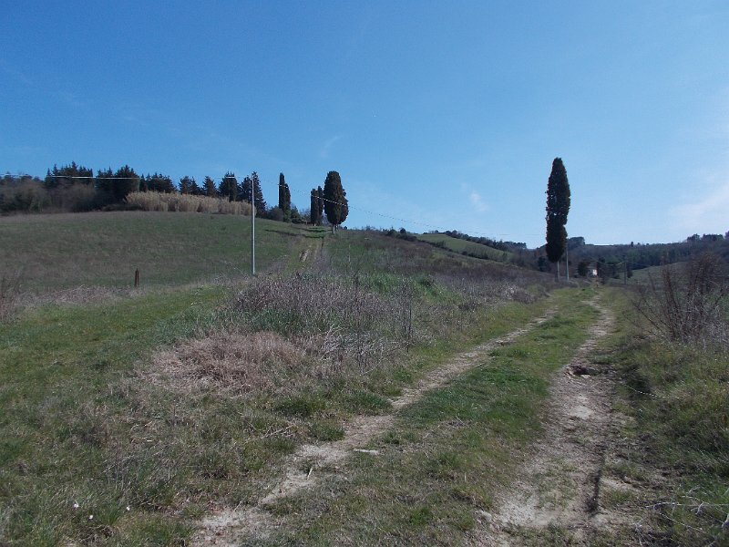 DSCN3654.JPG
