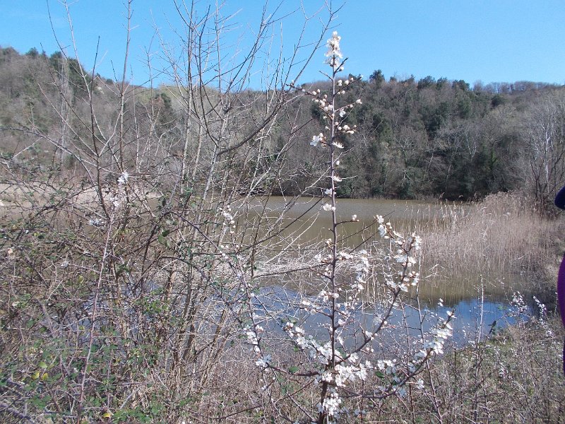 DSCN3669.JPG