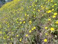 DSCN3636