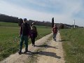 DSCN3649