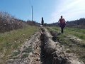 DSCN3656
