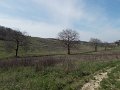 DSCN3657