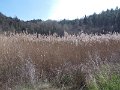 DSCN3665
