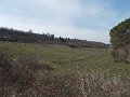 DSCN3666