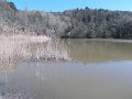 DSCN3667