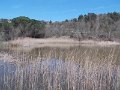 DSCN3672