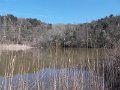 DSCN3676
