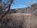 DSCN3677