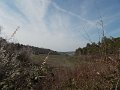 DSCN3682