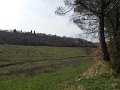 DSCN3695
