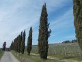 DSCN3698