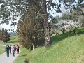 DSCN3701