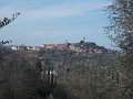 DSCN3708