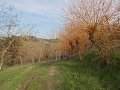 DSCN3721