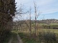 DSCN3723