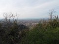 DSCN3748