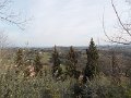 DSCN3749