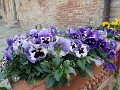 DSCN3765