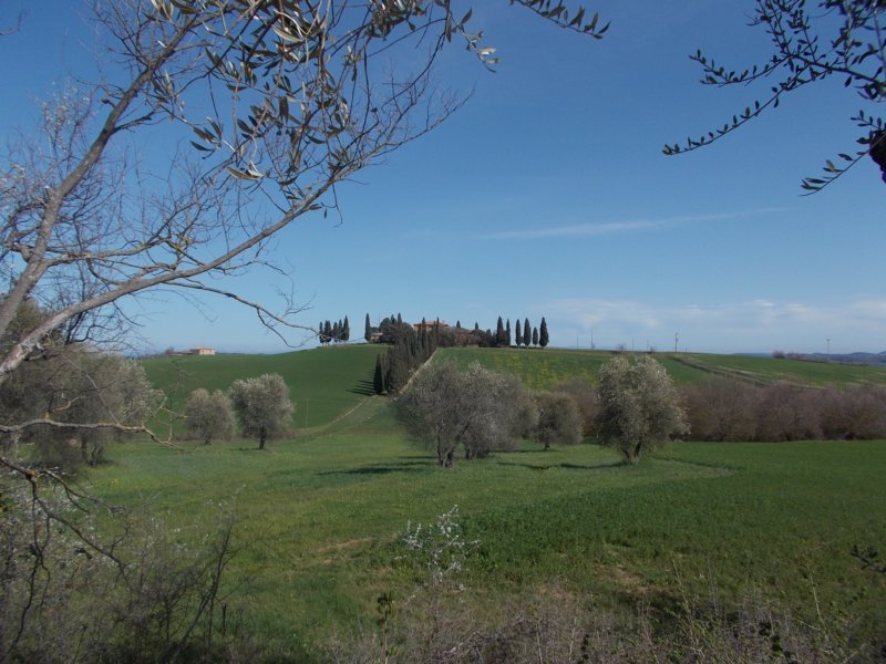 dscn5838.jpg