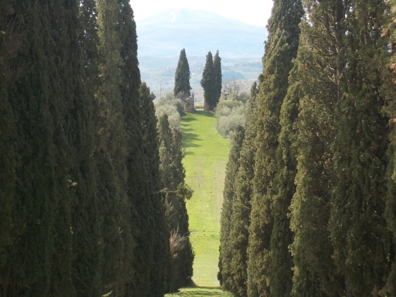 dscn5841.jpg