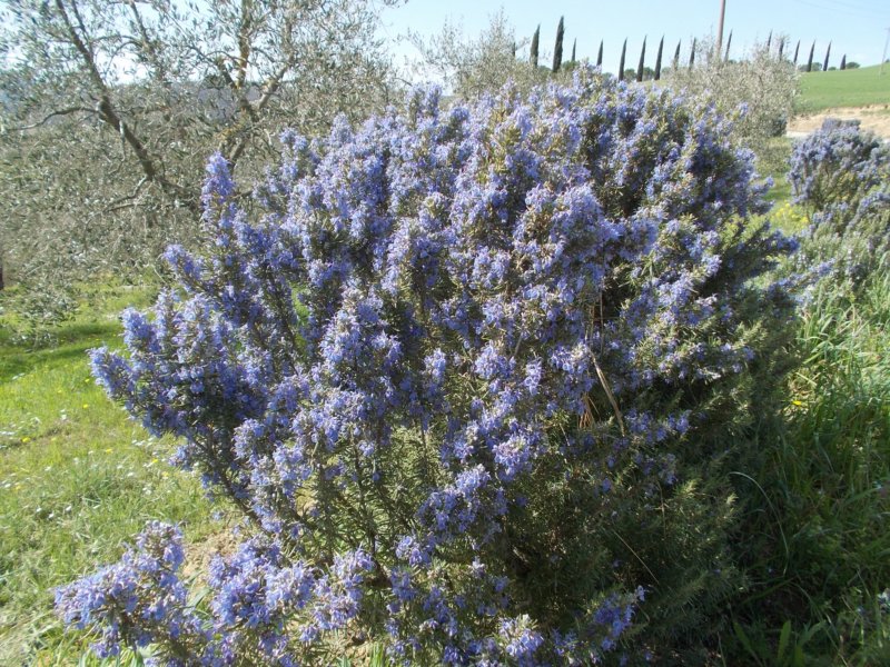 dscn5855.jpg