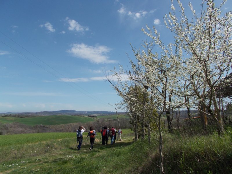 dscn5858.jpg