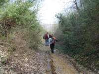 dscn5859_small.jpg
