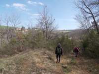 dscn5862_small.jpg