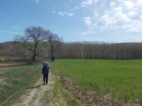 dscn5866_small.jpg