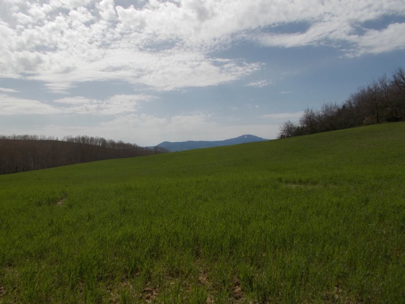 dscn5868.jpg